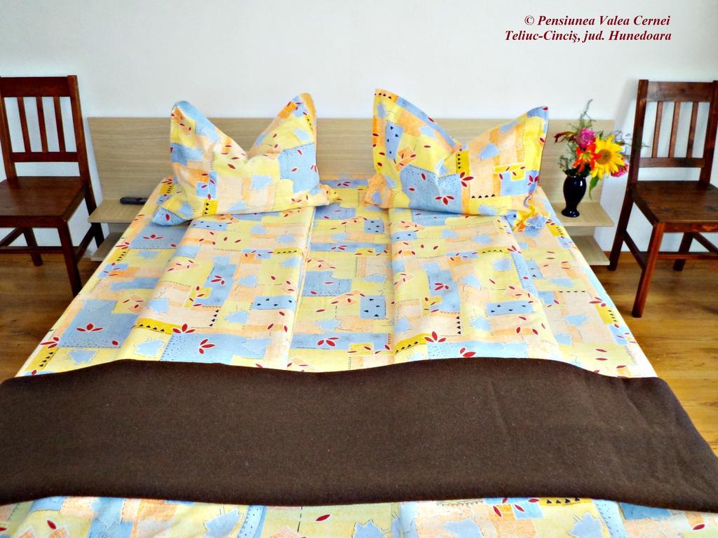 Pensiunea Valea Cernei Teliucu Inferior Room photo