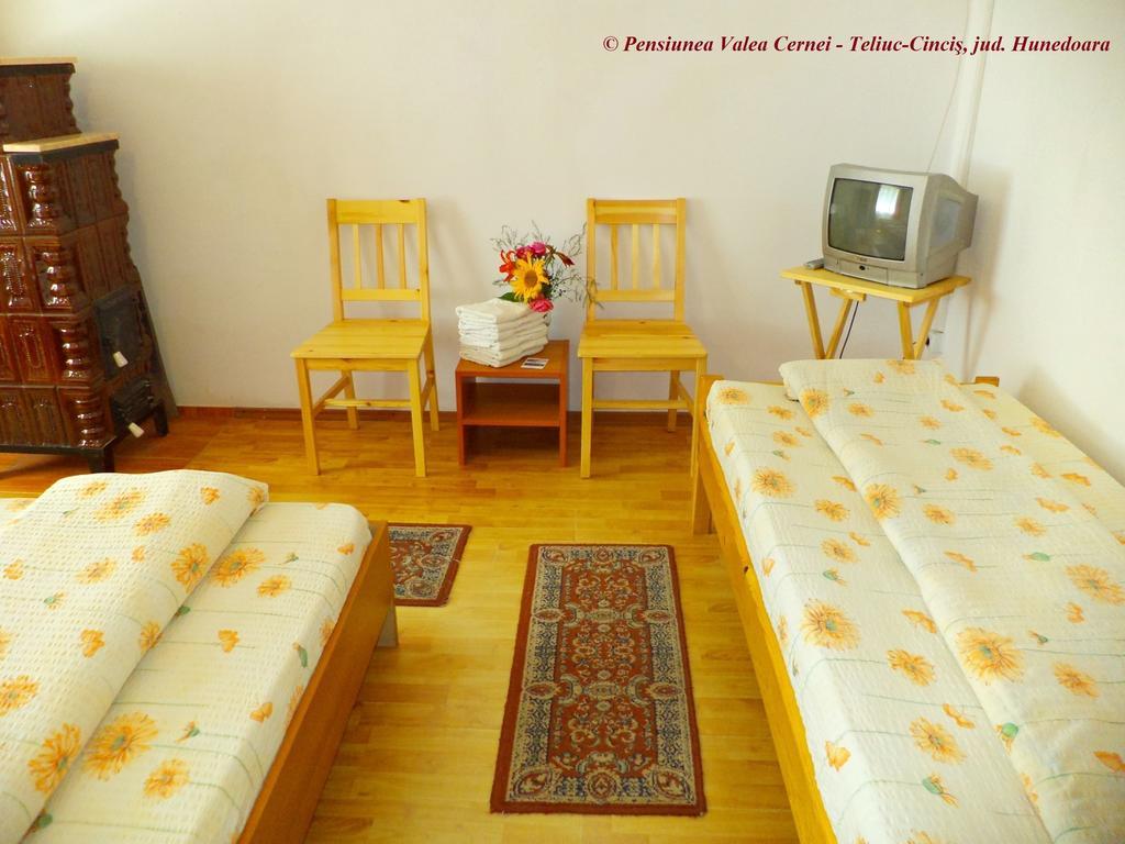 Pensiunea Valea Cernei Teliucu Inferior Room photo