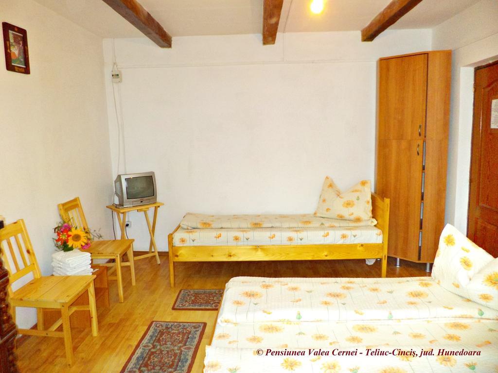 Pensiunea Valea Cernei Teliucu Inferior Room photo